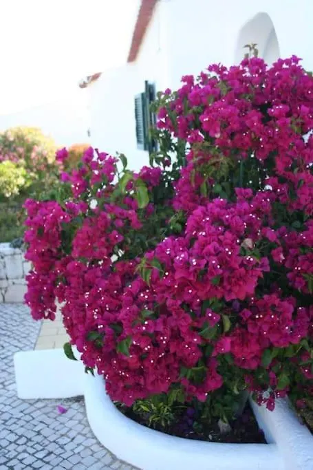Villa Eira Dos Moinhos Carvoeiro  Portugal